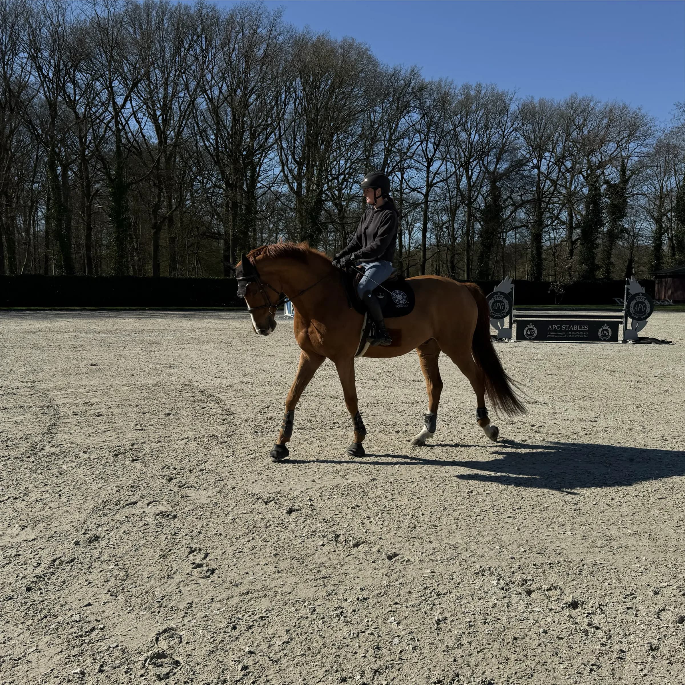 Elite Jumper Chimi